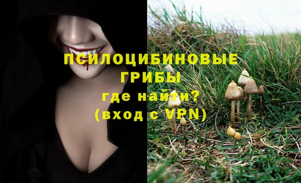 таблы Алзамай