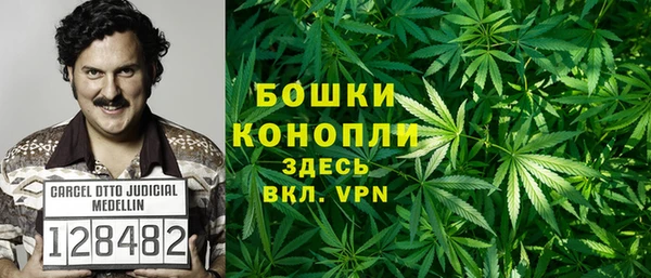 сатива Алексин