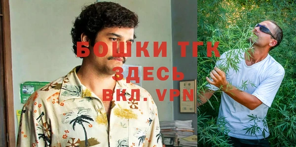 сатива Алексин