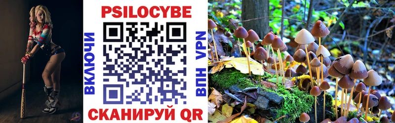 Псилоцибиновые грибы Cubensis купить сайты Пикалёво