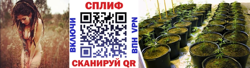 купить   Пикалёво  Конопля VHQ 